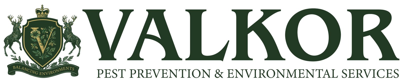 Valkor Logo
